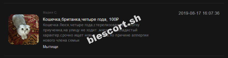 Негальчук Анна Мария - эскортница 1995 г.р.