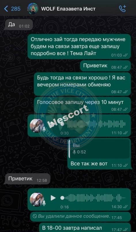 Баргаева Елизавета 2000 - ЧС эскорта