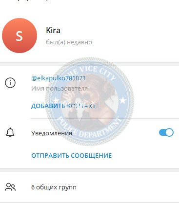 Шишкова Александра - эскортница 2020 г.р.